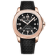 PD-YS031