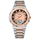 PD-YS025