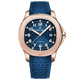 PD-YS031