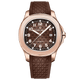 PD-YS031